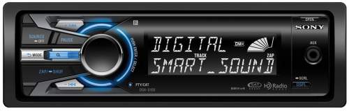 Sony DSX-S100
